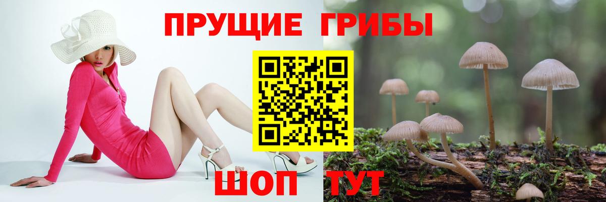 Галлюциногенные грибы MAGIC MUSHROOMS  Вход с VPN  купить наркоту  Лобня 